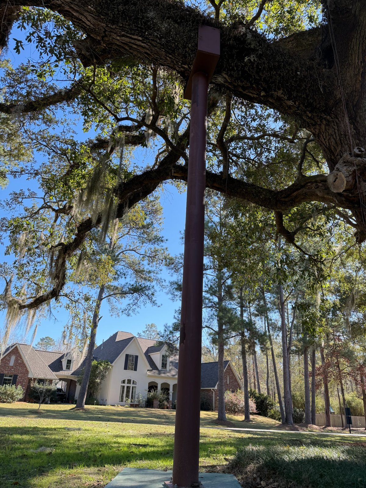 Steel support post propping a heavy live oak limb draped in Spanish moss